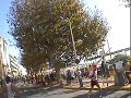MARATHON NICE CANNES MARATHON NICE CANNES