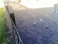 Petanque - Admiral Cunnigham