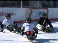 2011 Kingston Feb Fest - Sledge Hockey Game, Market Square View Video