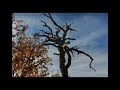 La Rabassa abans de naturLANDIA
