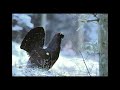 La Rabassa abans de naturLANDIA
