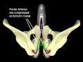 Specialized 2008 Body Geometry Technology