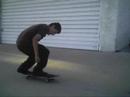 JACKASS REVOLUSION