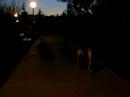 paso-2