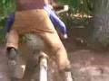 Buckskin Playgirl