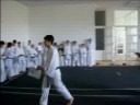 Karate Club Presheva Lions