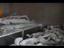 TrueVineyardBaketheCycle- Murambi Genocide Widows-4