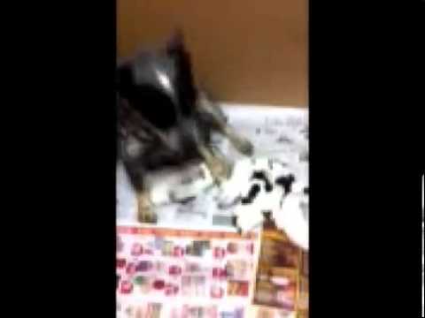 Whitehouseheelers.com-254-785-2515