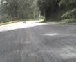 carros de rodillos medellÃn