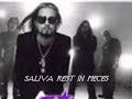 saliva-rest in pieces saliva-rest in pieces