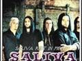saliva-rest in pieces