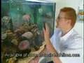 Marine Aquarium Advice (Corals)