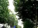 D�fil� du 14 Juillet 2007