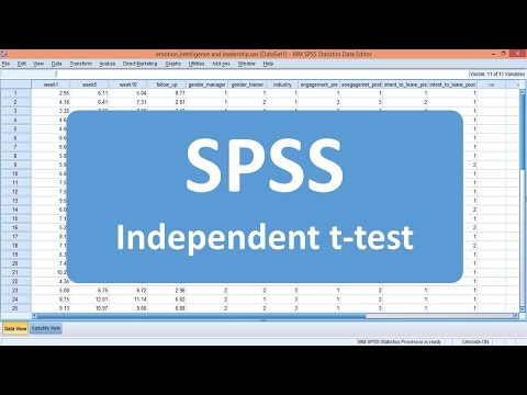 how to run a t test in spss