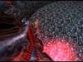 psoh-de-rol-le-vol-opt-y-dark-falz-en-ttf-vh-psobb.html