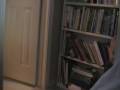 videos de Connor mimicking Brad