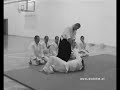 Aikido  BUDOKAI.pl - Simply Show