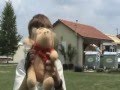 AISB Bucharest Multimedia Project