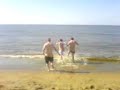 macro team a oostende