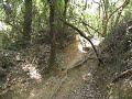 Tobogan Collserola
