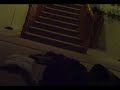 jose scared moe during a short film blooper