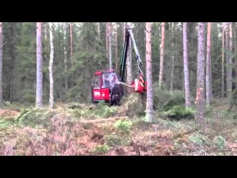 047626800 - Terri 34 skördare vid demodag hos Sydved.