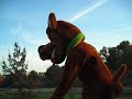 Scooby rolling down a hill!?!?