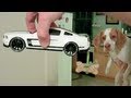 OMG dog vs toy car