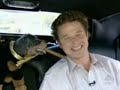Triumph the insult comic dog and access Hollywood Triumph the insult comic dog and access Hollywood