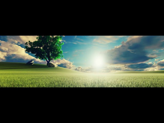 photo-of-grass-field-1227513