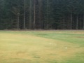 The next Tiger Woods!!!