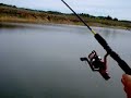 Pesca Carpa Pantano Catllar. Victor Pesca Carpa Pantano Catllar. Victor