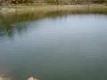 Pesca Carpa Pantano Catllar. Victor