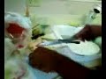 Cutco knife at work Cutco knife at work