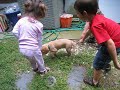Leila and Kenzy with a puppy