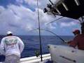 Fishing off Bimini 