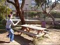 Parkor-Dimona2