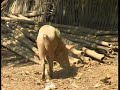 Myanmar Teil 4-7 Reisereportage