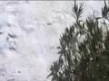 Amorgos - Panagia Chosoviotissa