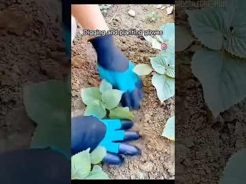 Садовые водонепроницаемые перчатки с когтями Перчатки Когти для сада и огорода Перчатки грабли для посадки - фото 1 - id-p2238480329