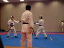 Kumite Exam 2008 Q1 Terry vs Kwan