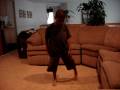 Marlon Rodrigo Dance (Billie Jean)