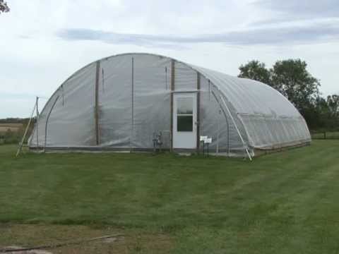 how to grow raspberries in mn