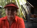Nikau Palms 4 Queen St  then Whitianga and Mercury Bay