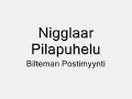 Nigglaar Pilapuhelu - Bilteman Postimyynti