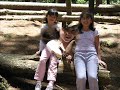 paseo a el valle de merida VENEZUELA paseo a el valle de merida VENEZUELA