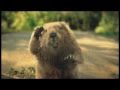 Ver Video