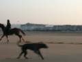 DSCF2060,,