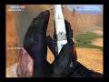 5v5 vs [XK]