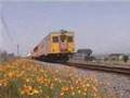 ばいばい島原鉄道南目線&キハ20